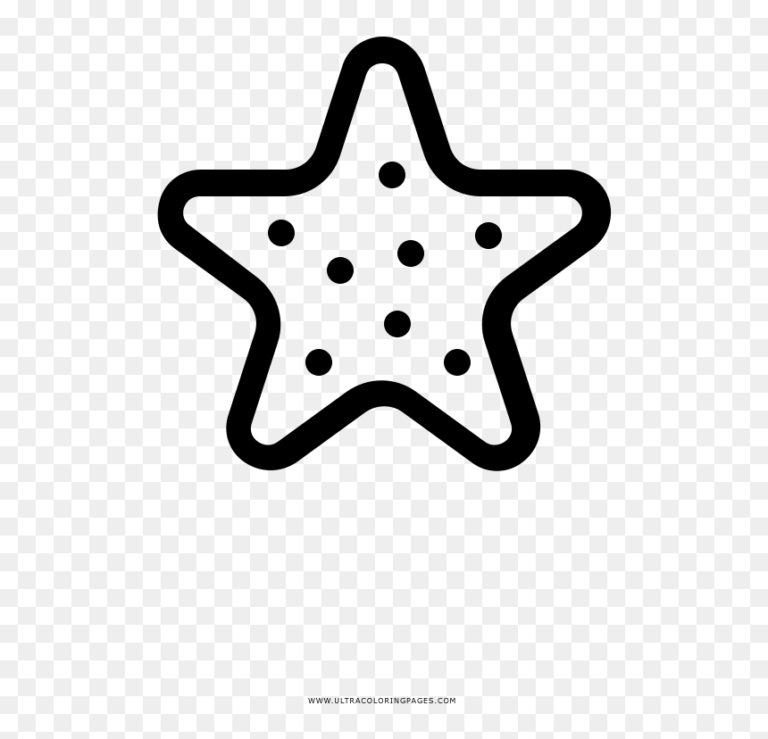 Illustration, HD Png Download - white starfish png