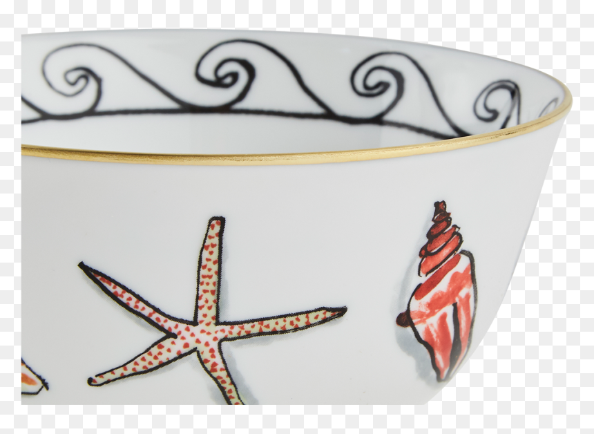 Ceramic, HD Png Download - white starfish png