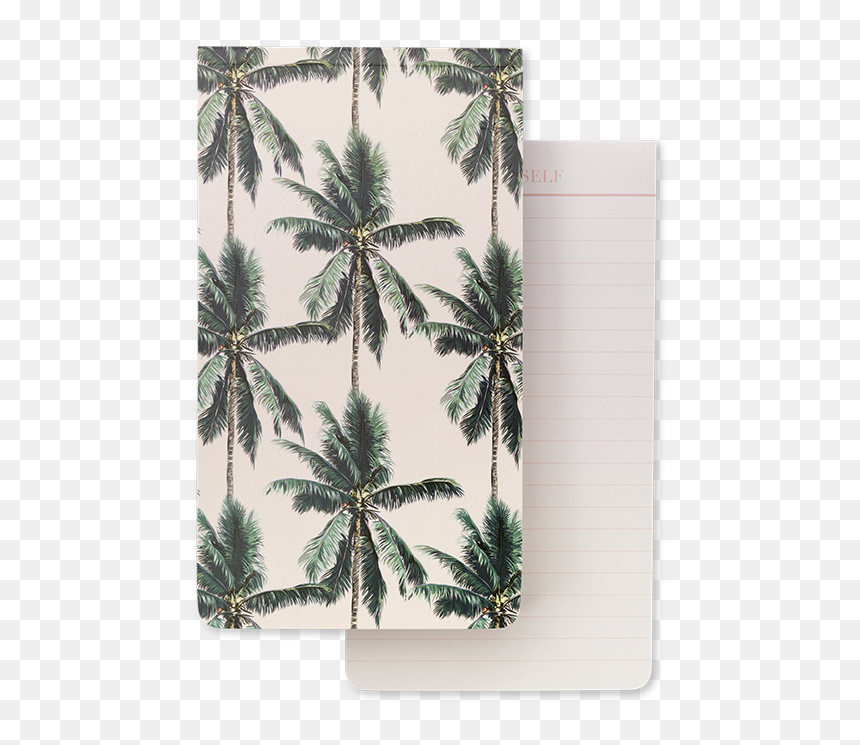 Papel De Parede Folha De Coqueiro, HD Png Download - palm tree plan png