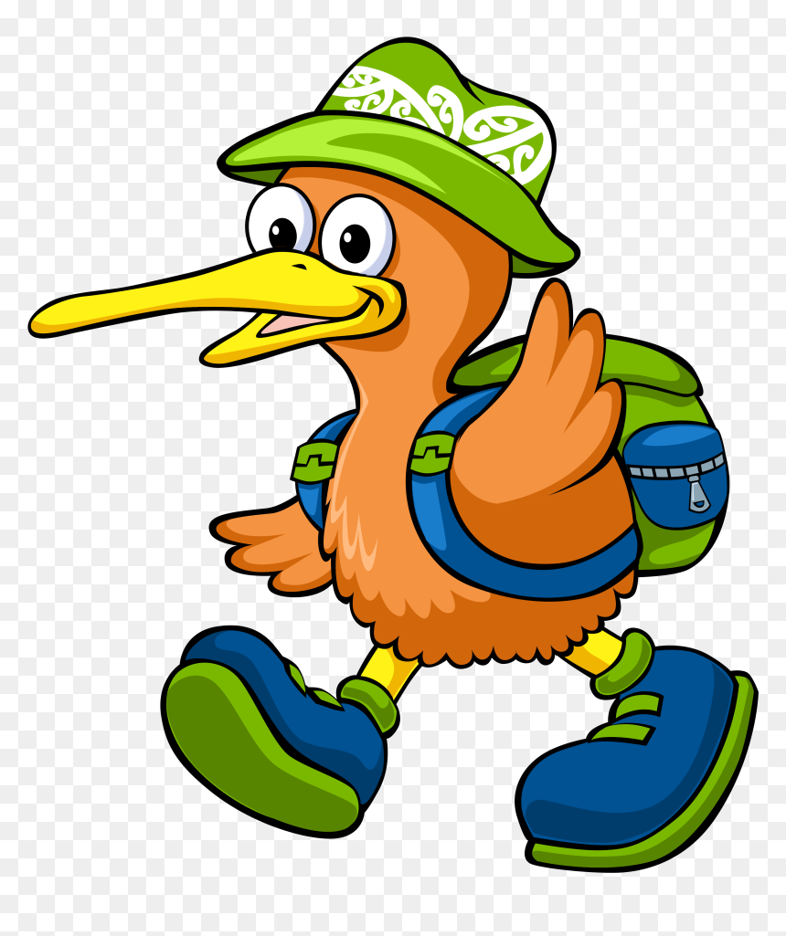 Transparent Kiwi Bird Png - Waikato Kindergarten Association, Png Download - kiwi bird png