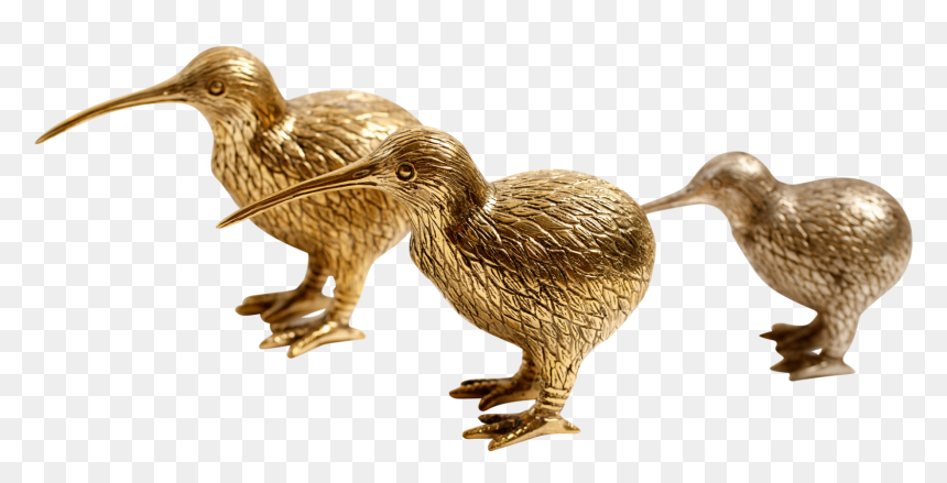 Duck, HD Png Download - kiwi bird png