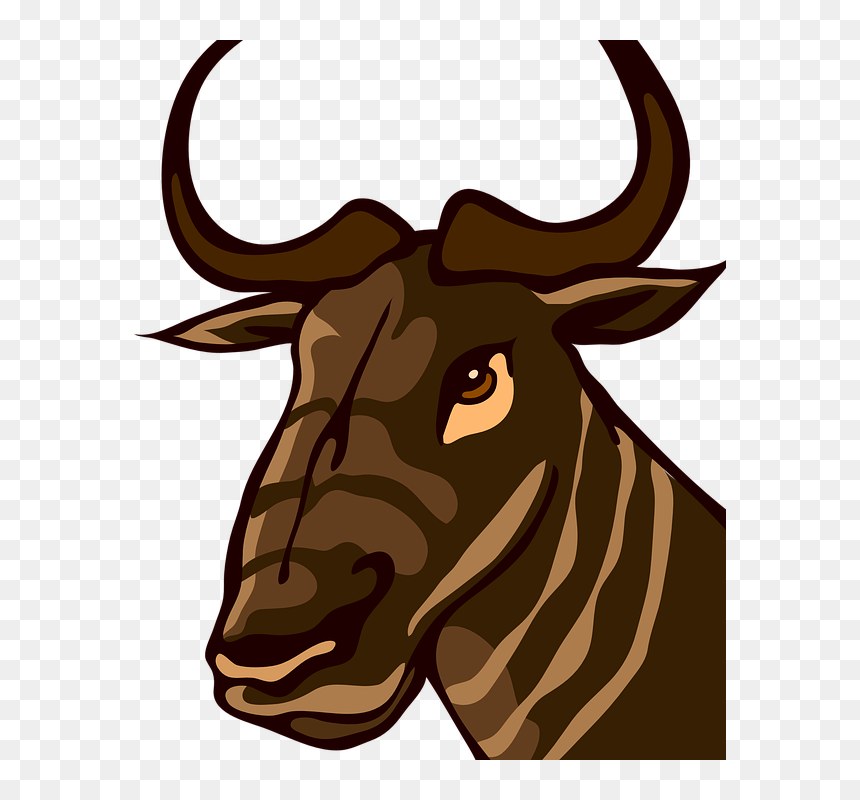Animal Face Png, Transparent Png - animal face png