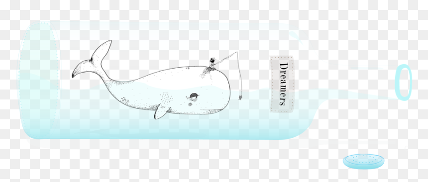 Transparent Killer Whale Png - Whale, Png Download - orca whale png