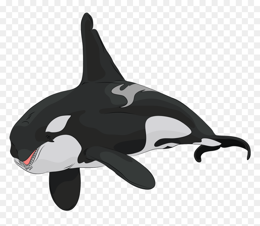 Arctic Animals, HD Png Download - orca whale png