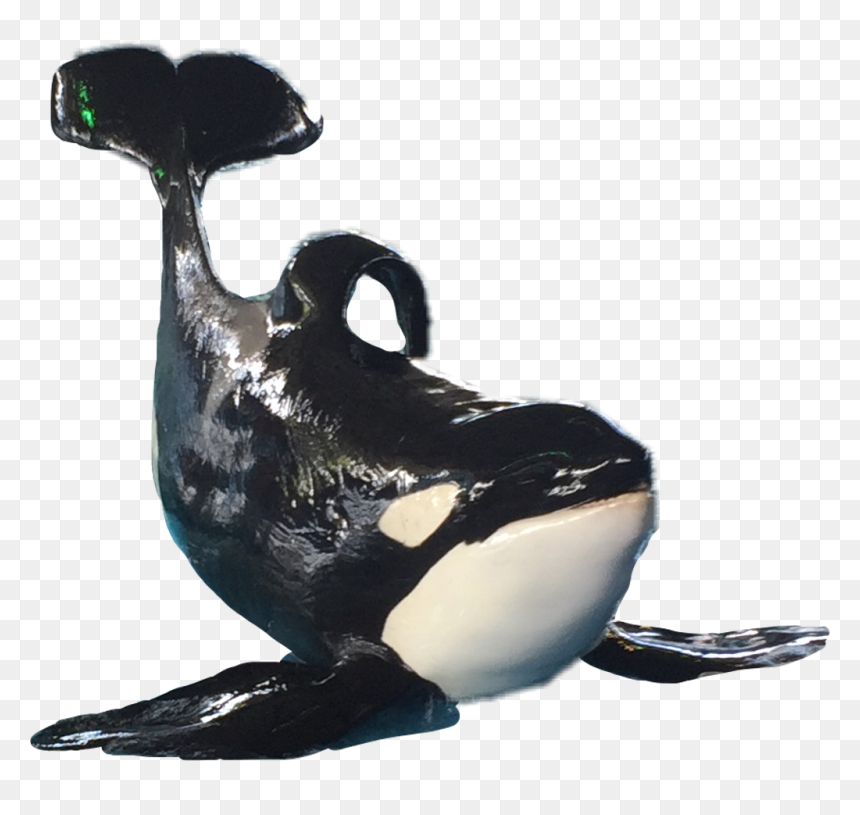 Killer Whale , Png Download - Killer Whale, Transparent Png - orca whale png