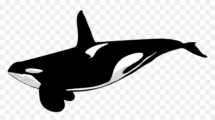 Killer Whale Symbol Tattoo, HD Png Download - orca whale png