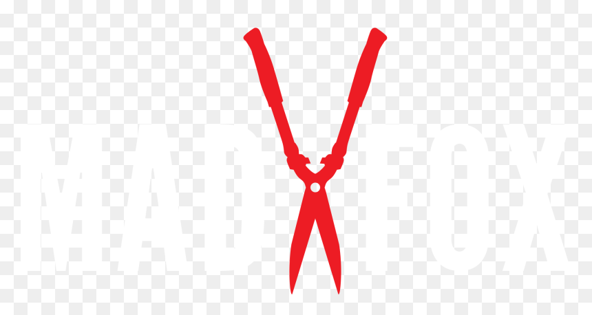 Mad Fox Films - Vital Record, HD Png Download - films png