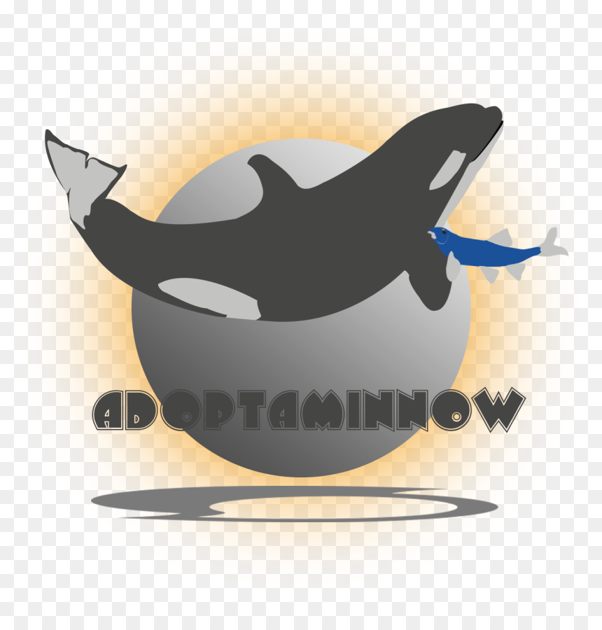 Killer Whale , Png Download - Killer Whale, Transparent Png - orca whale png