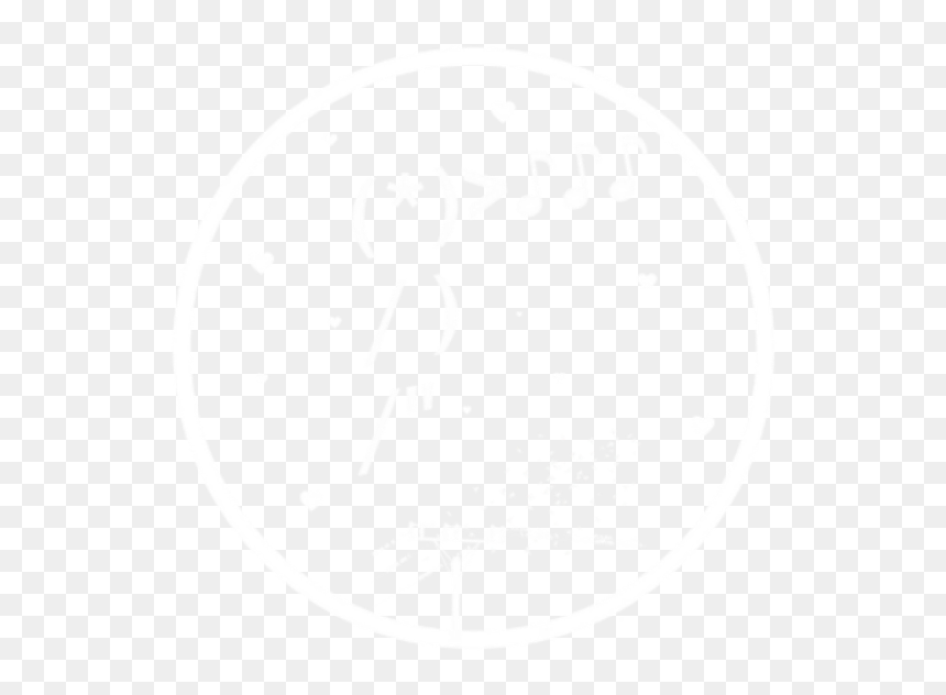 Bird Graphic Full Transparent - Monochrome, HD Png Download - bird .png
