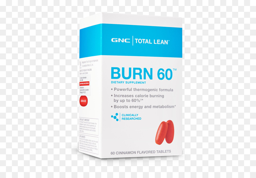 Brochure, HD Png Download - six pack abs png