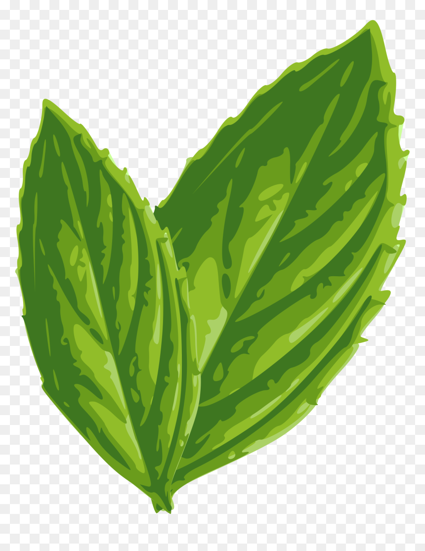 Mint Leaf Clip Art, HD Png Download - spearmint png