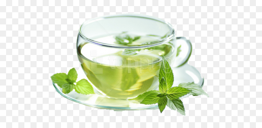Maofeng - Green Tea Images Png, Transparent Png - spearmint png
