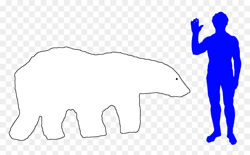 Transparent Polar Bear Clipart Png - Biggest Bichir, Png Download - polar bear clipart png