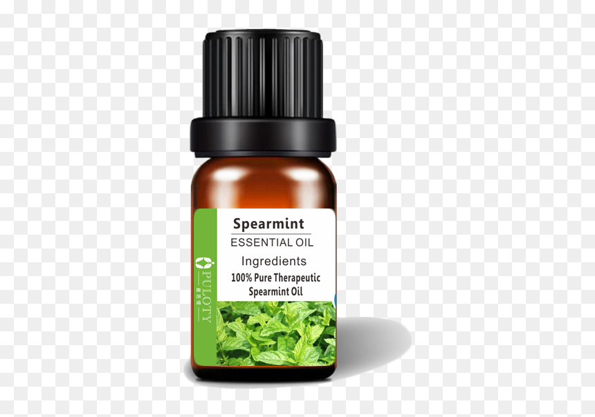 99% Content Spearmint Organic Oil Essential Oil For - Essential Oil, HD Png Download - spearmint png