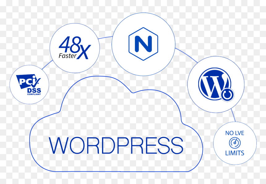 Image - Circle, HD Png Download - web hosting png