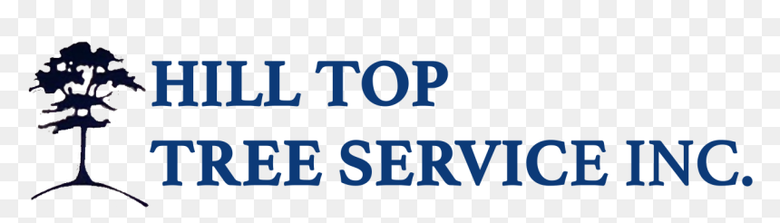 Graphics, HD Png Download - top of tree png