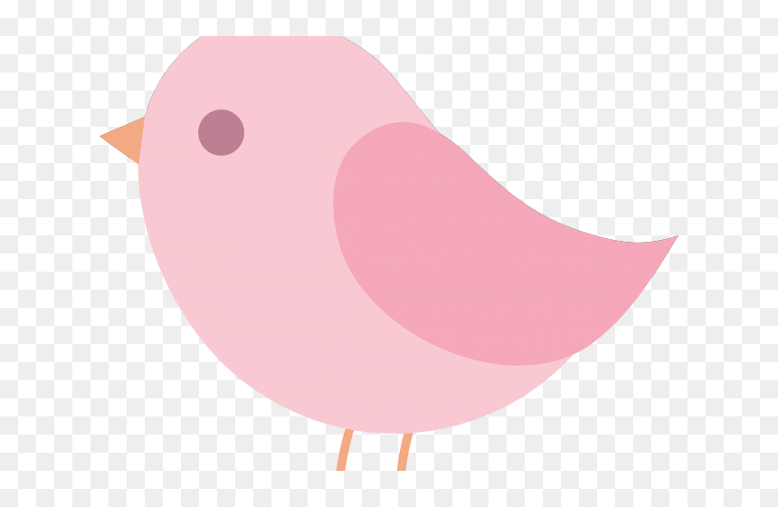 Transparent Bird Clipart, HD Png Download - baby bird png
