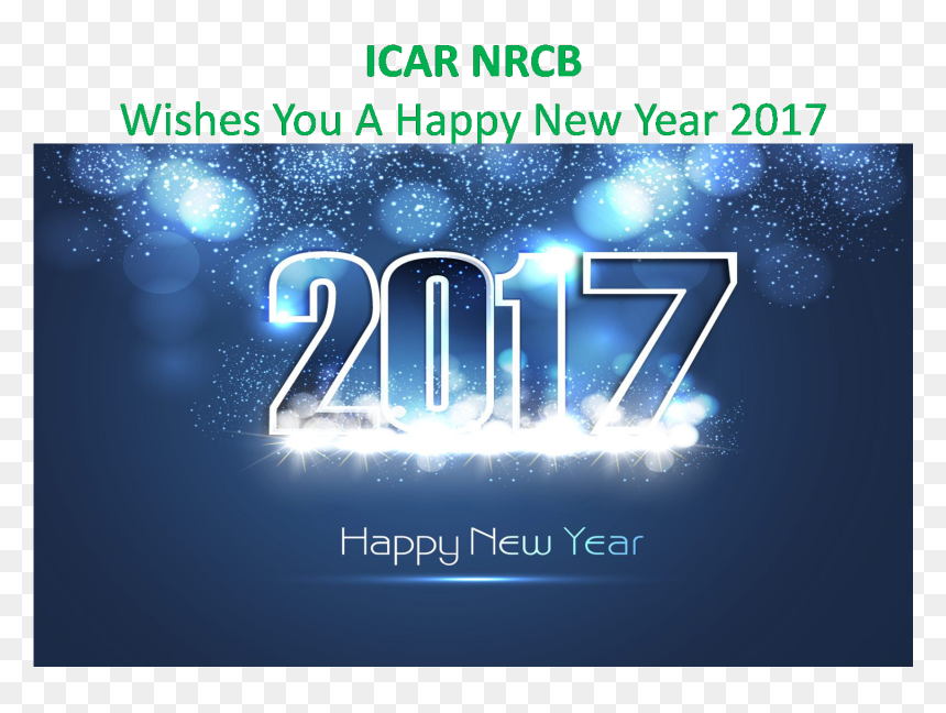 Graphic Design, HD Png Download - new years eve 2016 png