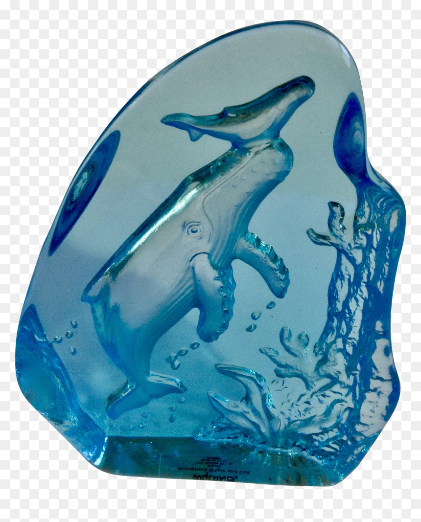 Transparent Humpback Whale Png - Common Bottlenose Dolphin, Png Download - baby whale png