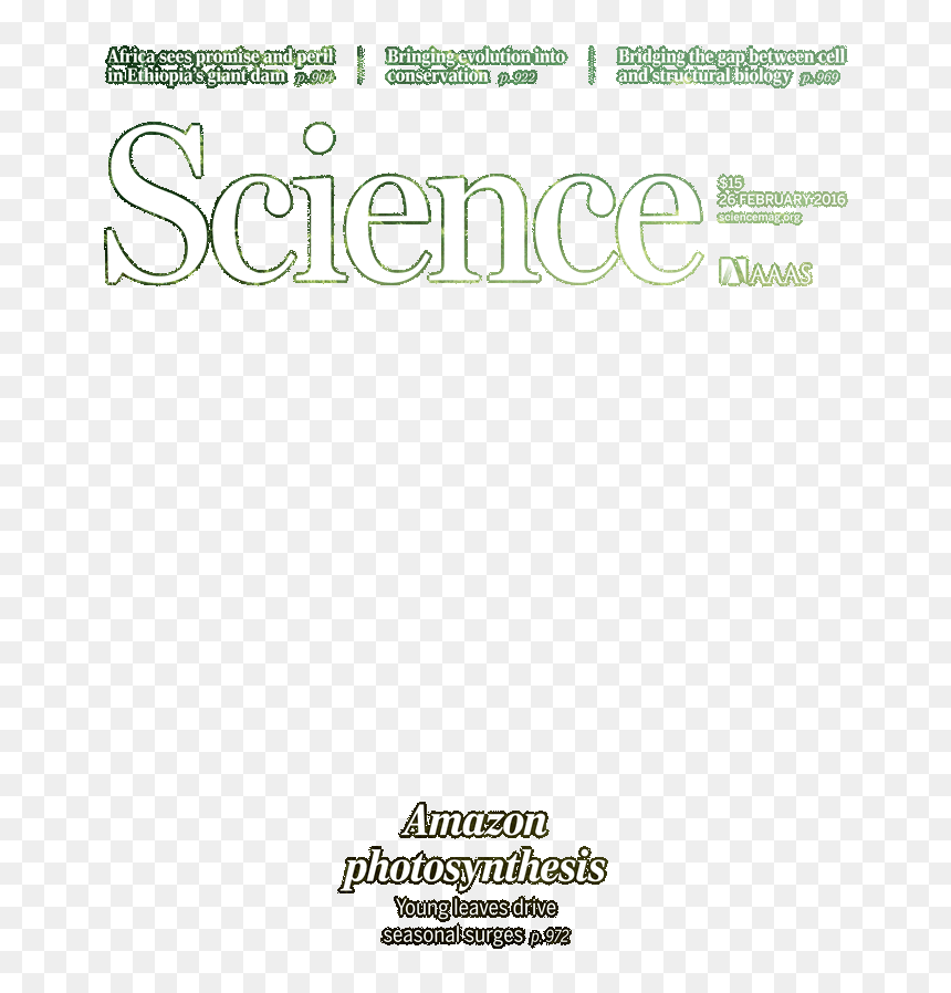 Calligraphy, HD Png Download - magazine covers png