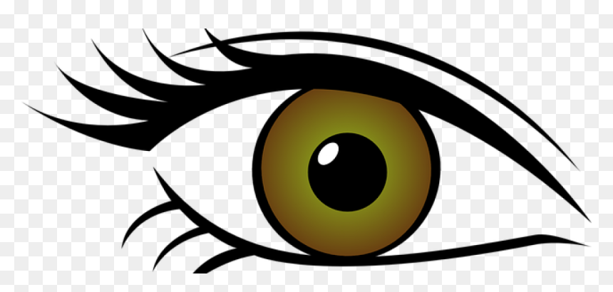 Optical Clipart Contact Lense - Brown Eyes Transparent Background, HD Png Download - eye lens png