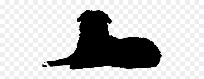 Bernese Mountain Dog Lying Down Png - Terrier, Transparent Png - laying down png