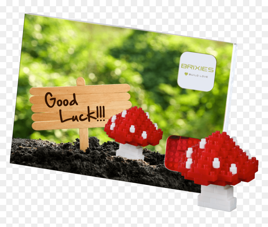 220 033 Pilz Komplett - Postcard, HD Png Download - luck png