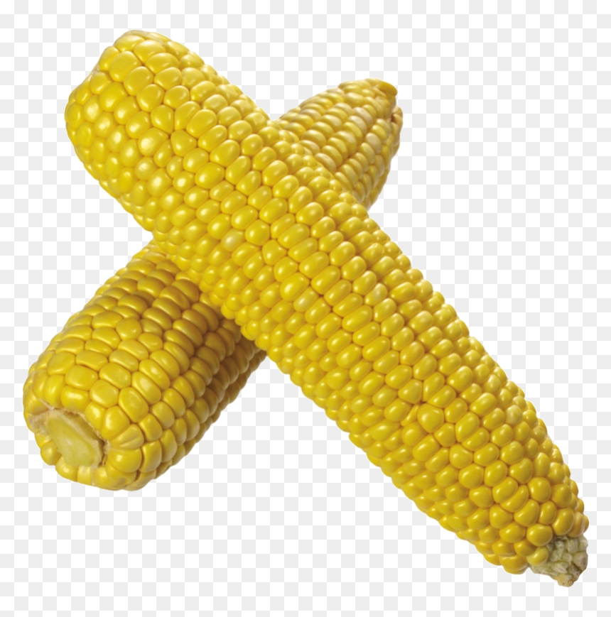 Corn Image Transparent Background Clipart Png - Transparent Background Corn Clipart, Png Download - corn stalks png