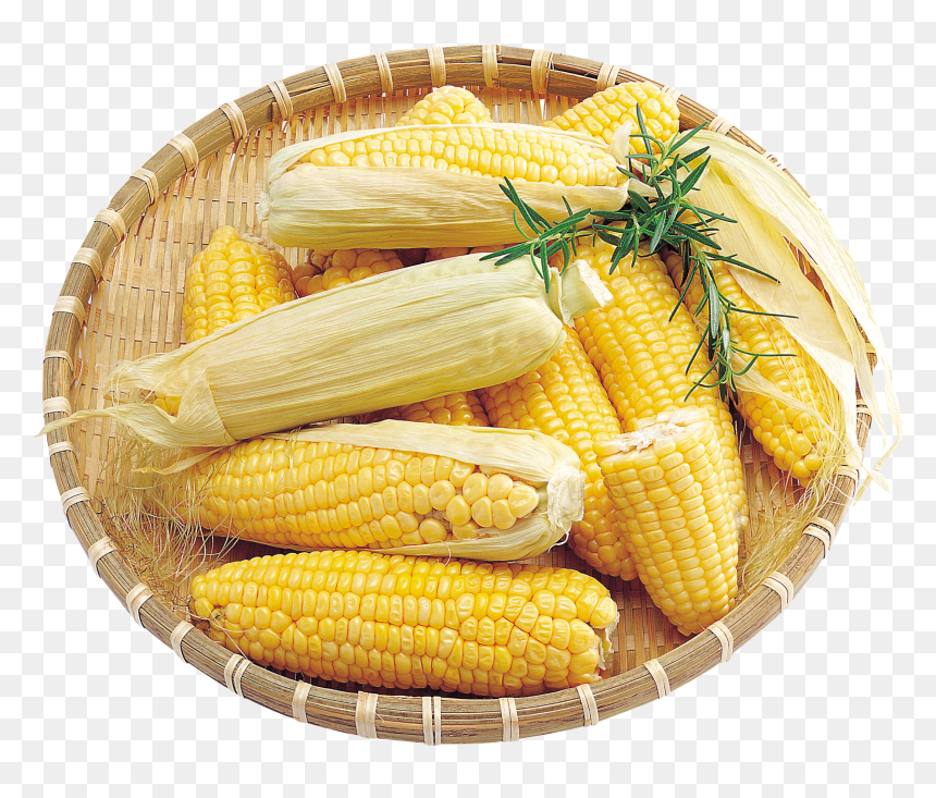 Corn Png Image - Transparent Background Corns Png, Png Download - corn stalks png