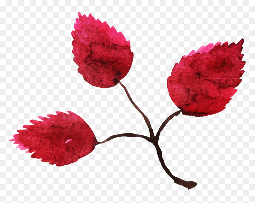 Floral Design, HD Png Download - fall flower png