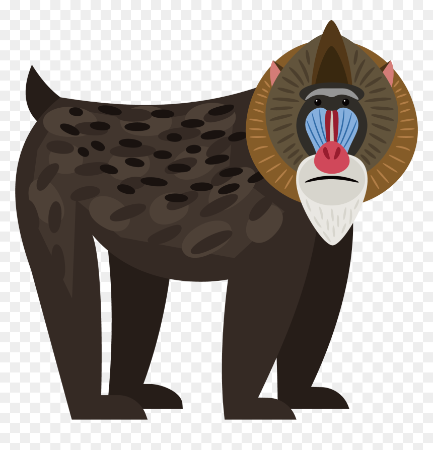 Transparent African Clipart - Transparent Baboon Clipart, HD Png Download - baboon png