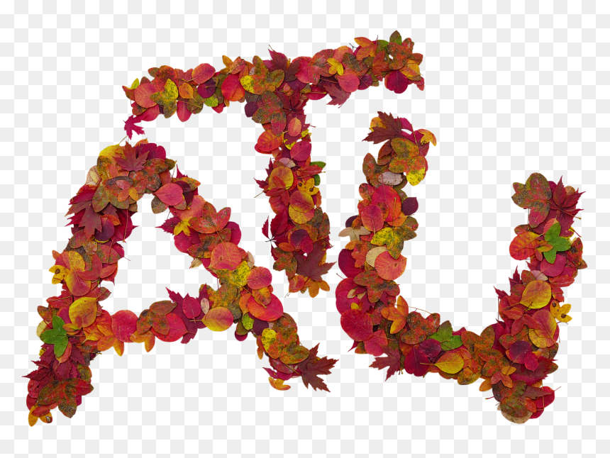 Letras En Forma De Hojas, HD Png Download - fall flower png