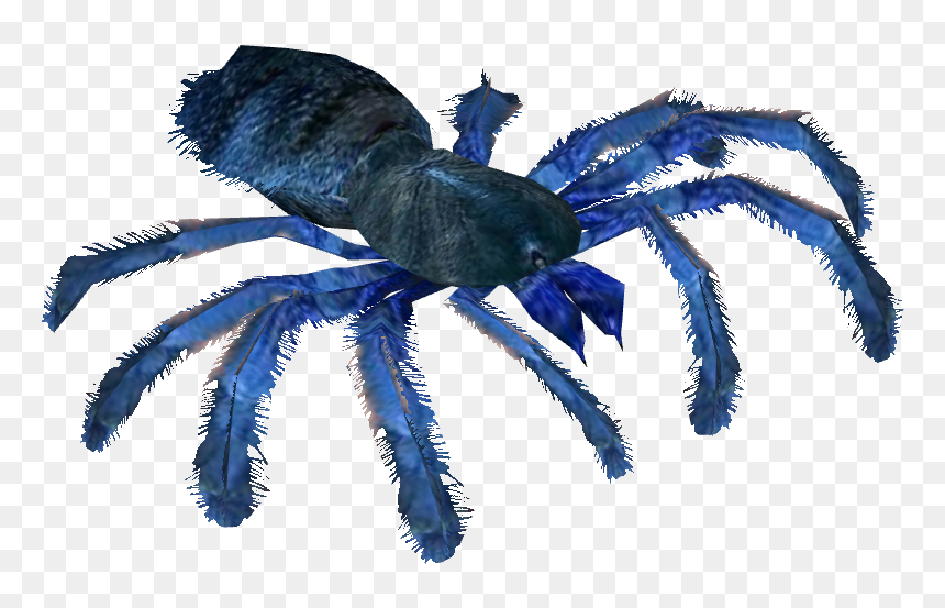 Tarantula Png - Transparent Cobalt Blue Tarantula, Png Download - baboon png