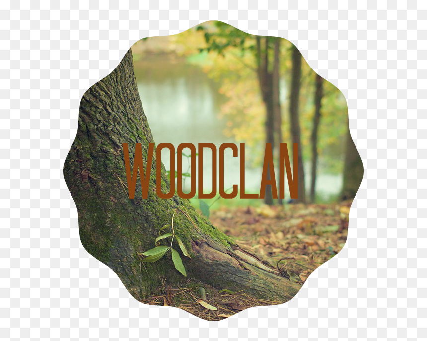 Transparent Tree Trunk Png - Earth Woods, Png Download - trunk png