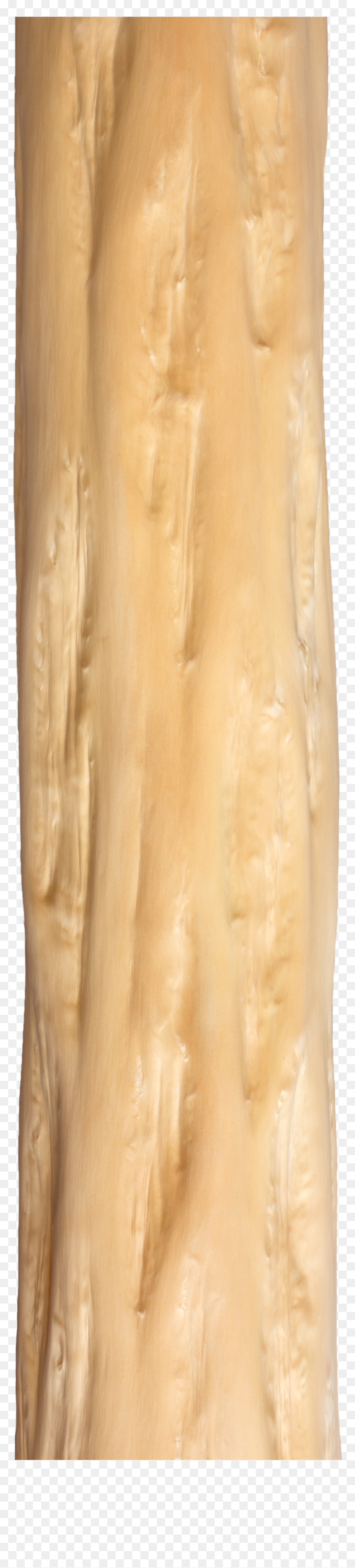 Tree Trunk Png Over The Bark Of The Treetree Trunk - Plywood, Transparent Png - trunk png