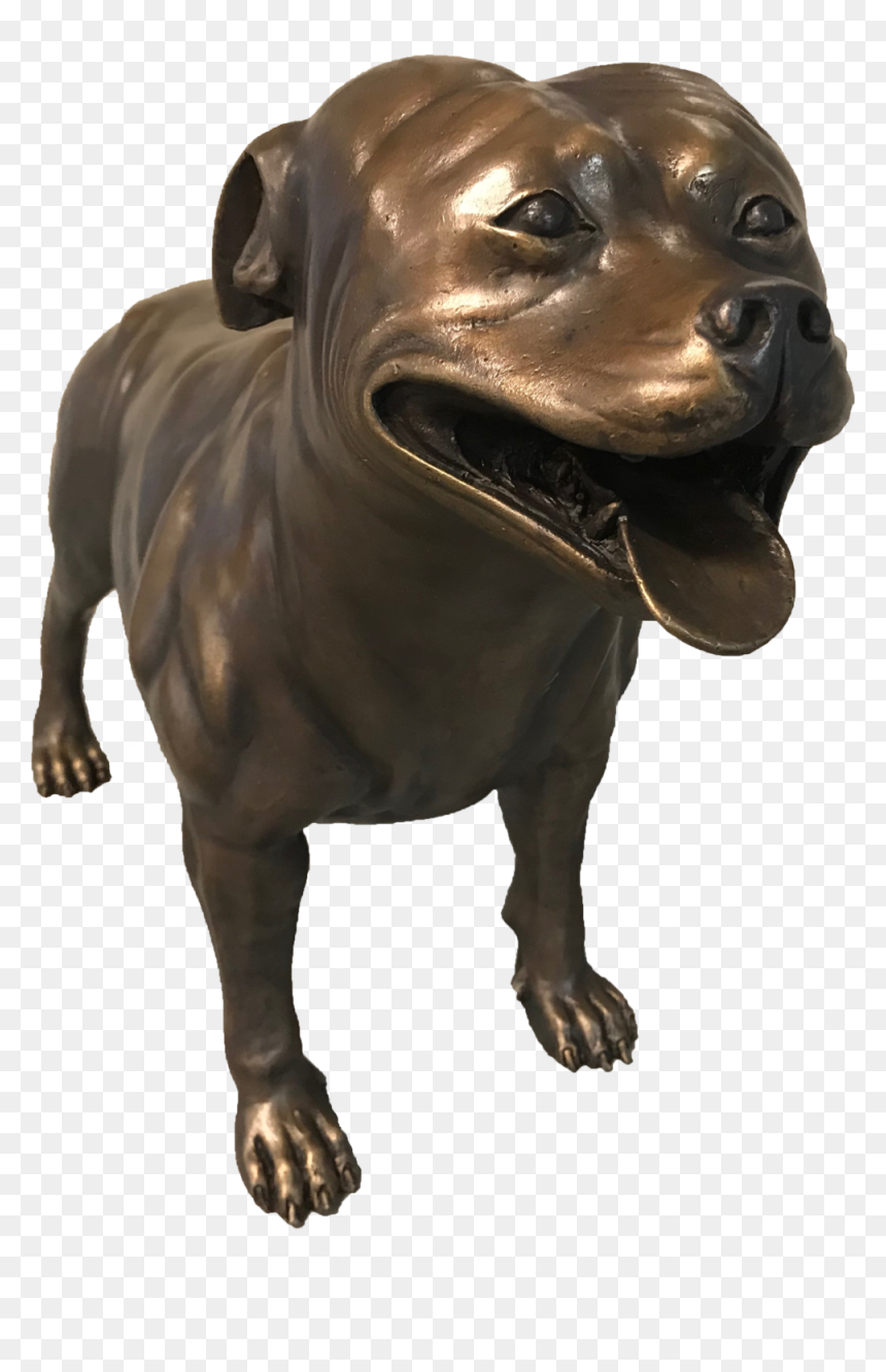 Staffordshire Bull Terrier, HD Png Download - pitbull head png
