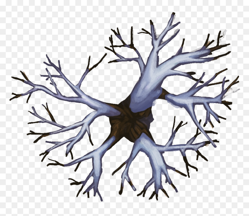 Np03 Treedecid 30x25[nature, Outside, External, Environment,, HD Png Download - png format images nature