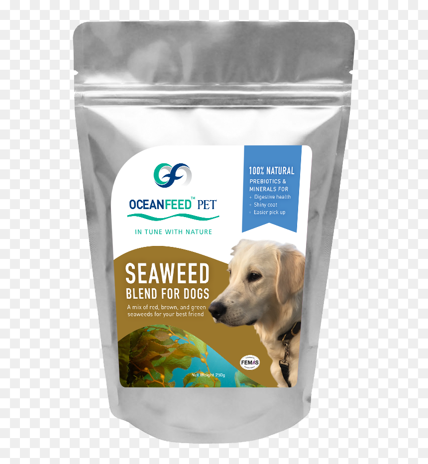 180621 Petpouch Mock Cropped, HD Png Download - dog transparent png
