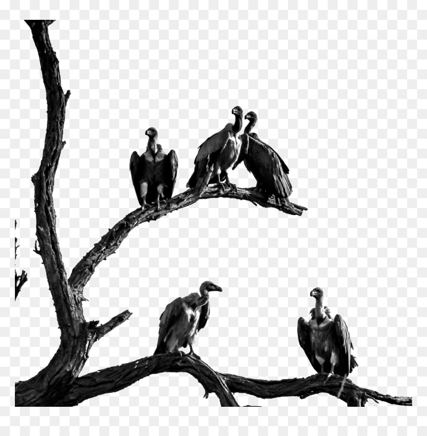 Tree - Definition Of Love With God, HD Png Download - dying tree png