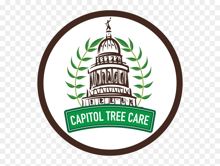 Logo - Texas State Capitol, HD Png Download - dying tree png
