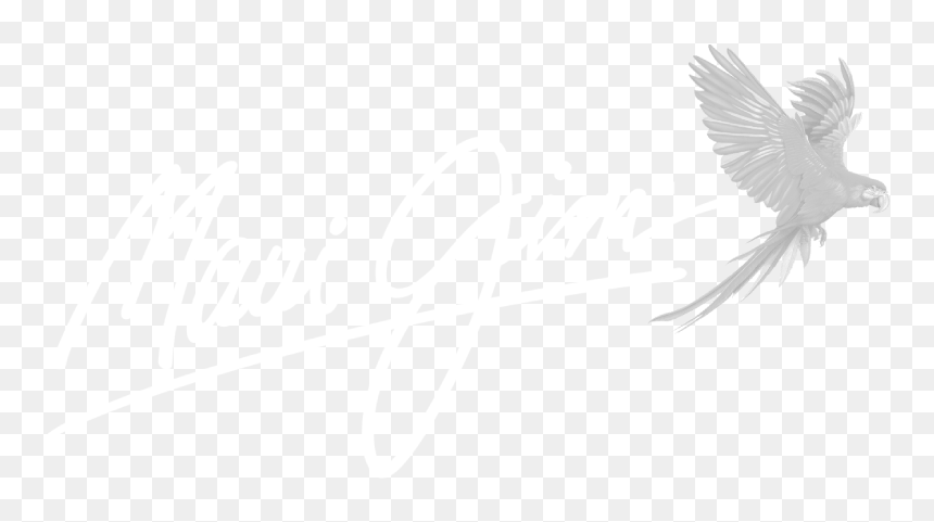 Maui Jim Glasses Logo, HD Png Download - maui jim logo png