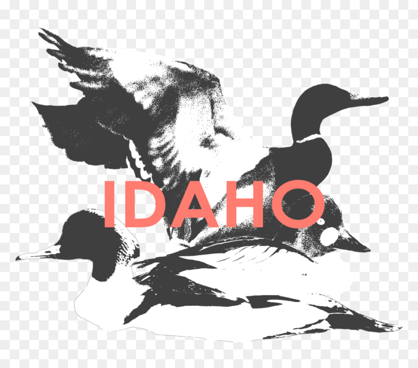 Idaho - Ivory-billed Woodpecker, HD Png Download - duck bill png