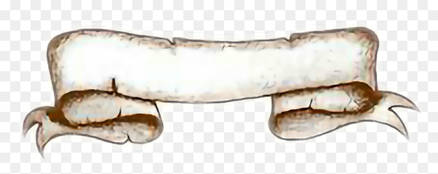 Driftwood, HD Png Download - pergaminos png