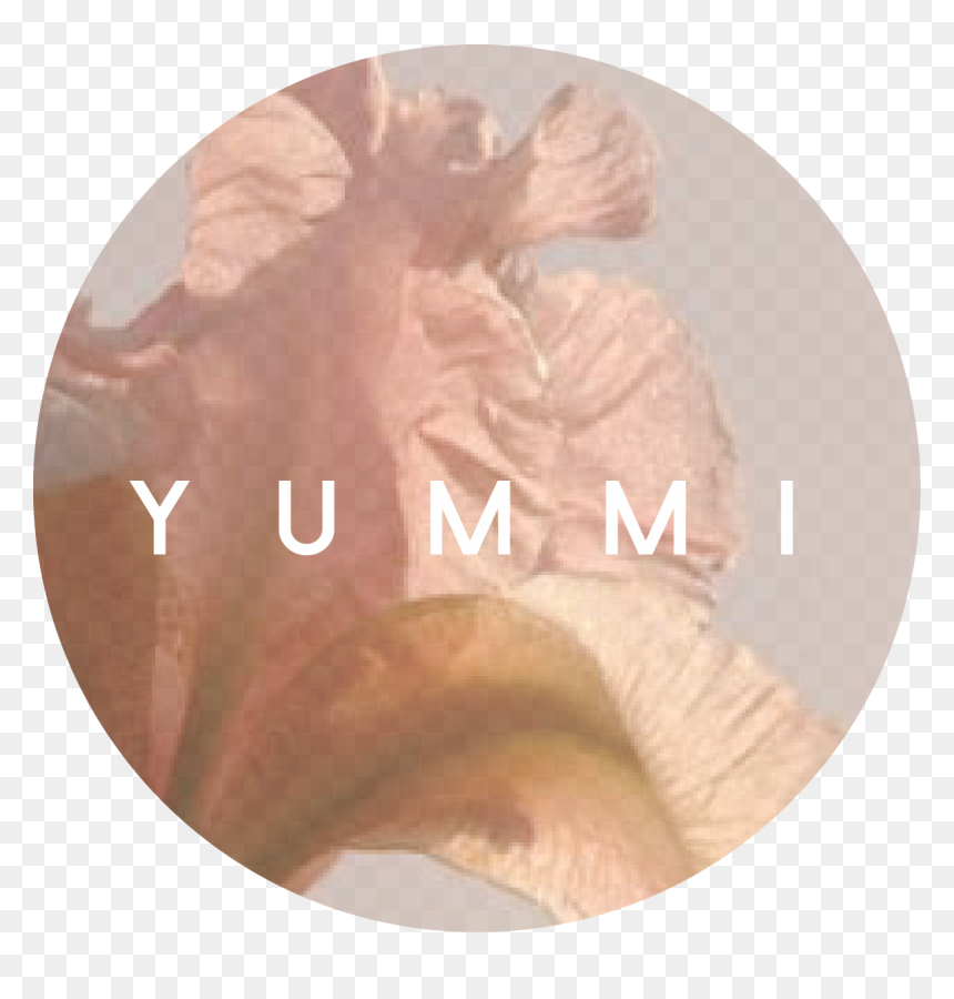 Tree, HD Png Download - slumber party png