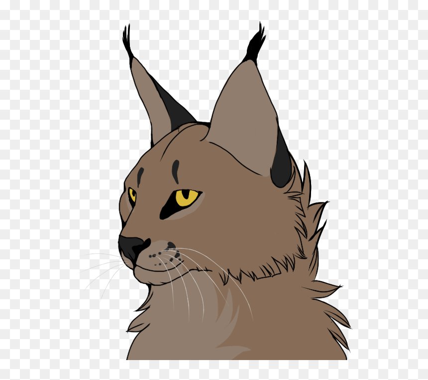 Kitten Wildcat Whiskers Caracal - Caracal Animation, HD Png Download - caracal png