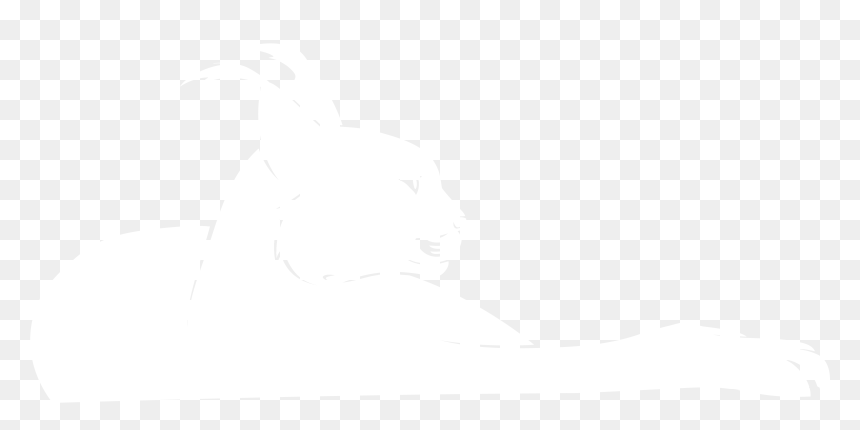 The Caracal Is A Fiercely Territorial Medium-sized - Illustration, HD Png Download - caracal png