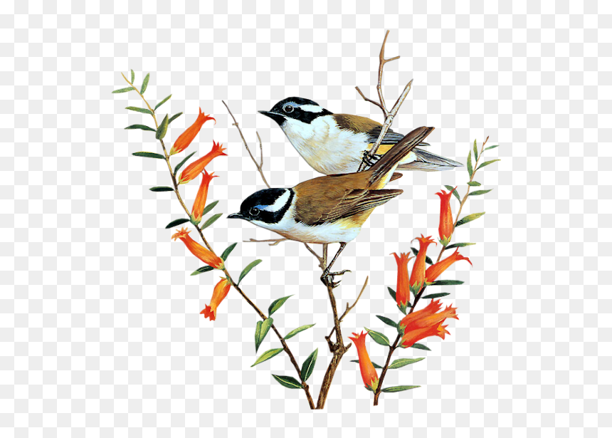 Painting, HD Png Download - flying crows png