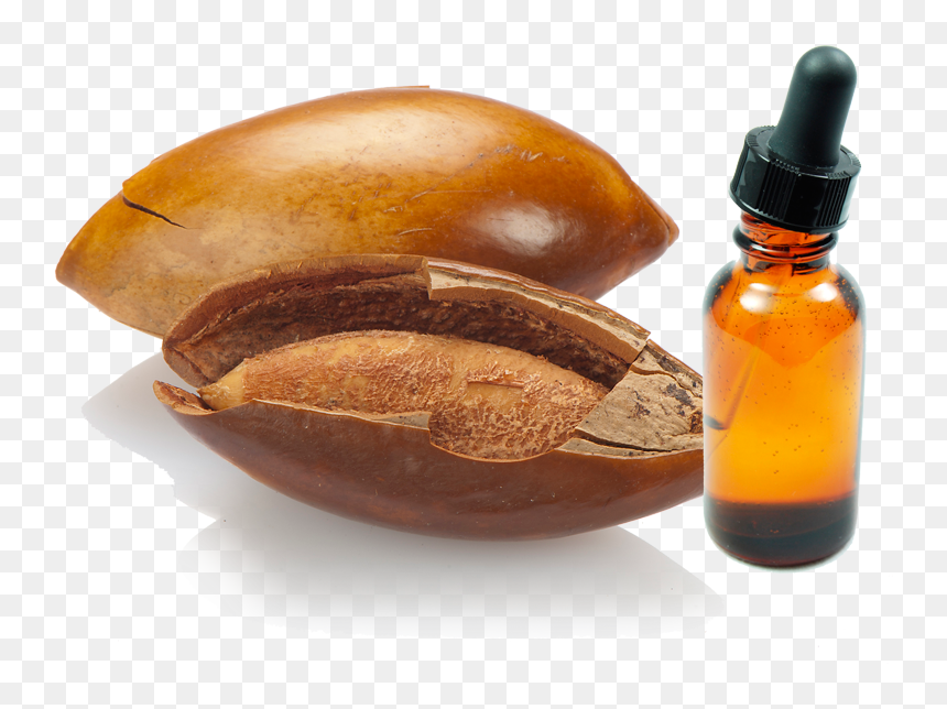 Transparent Hueso Png - Hueso Mamey Png, Png Download - hueso png
