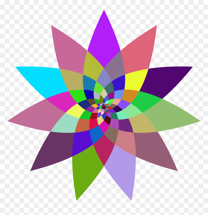 Line Art Abstract Art Drawing Floral Design - Circle, HD Png Download - floral line png