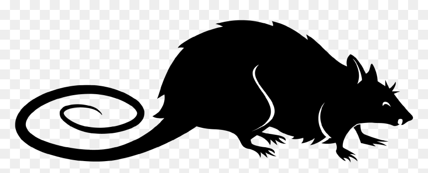 Rat, HD Png Download - rata png